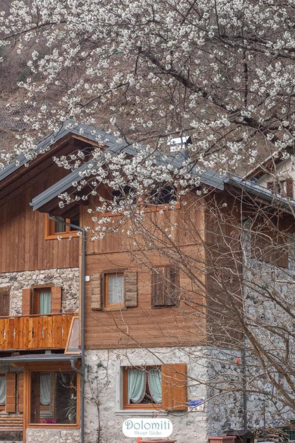 Dolomiti Riverside Perarolo di Cadore Exterior photo
